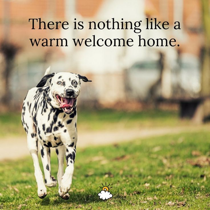 Inspirational Quotes : "There is nothing like a warm ...